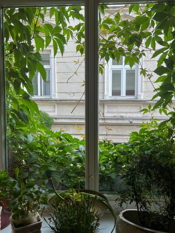 Aparthotel Karmel - Resim 45