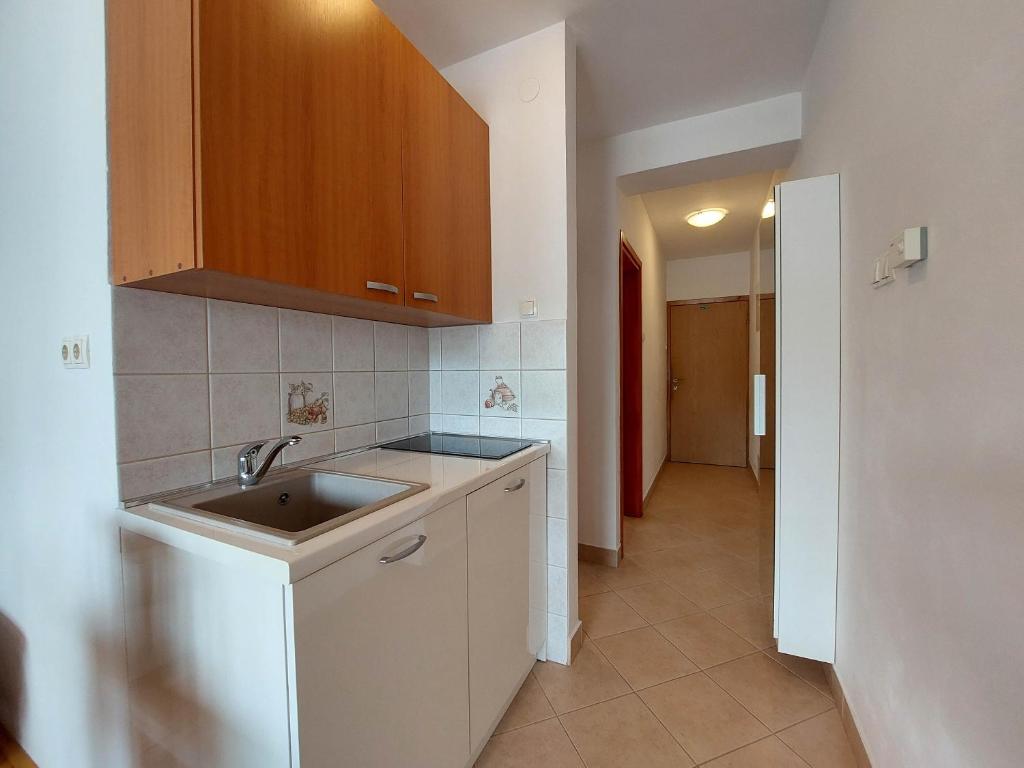 Kuchyň nebo kuchyňský kout v ubytování Apartments Zeljko