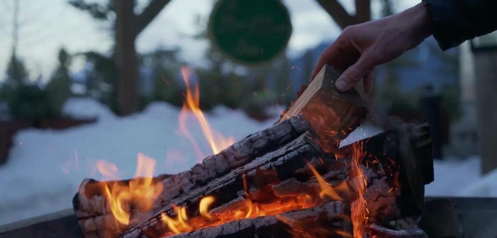 A Bear and Bison Country Inn - Resim 13