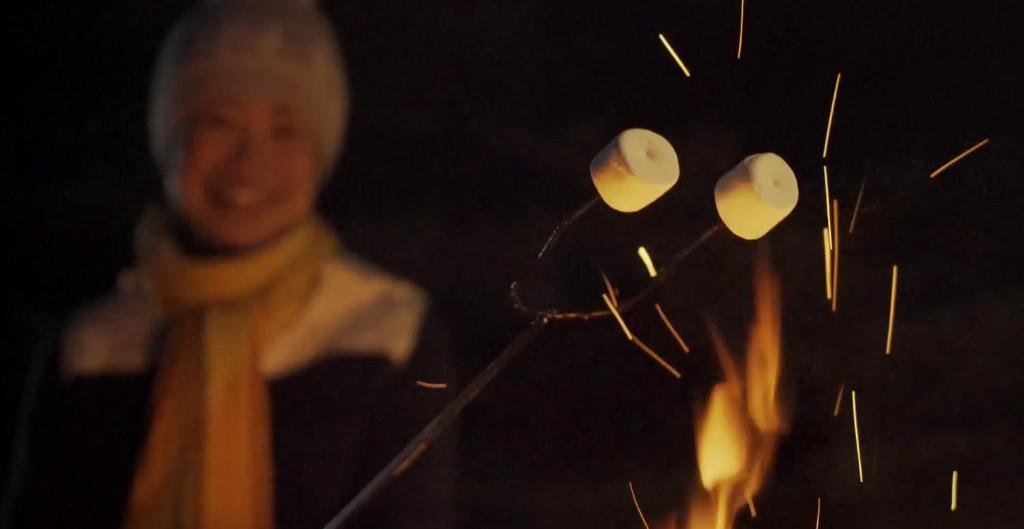 A Bear and Bison Country Inn - Resim 8