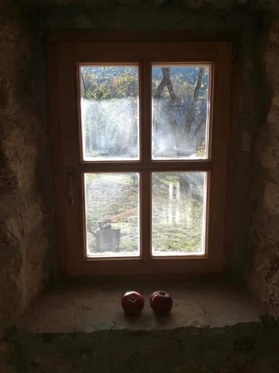 Fotografie z fotogalerie ubytování Vignjišta v destinaci Plužine