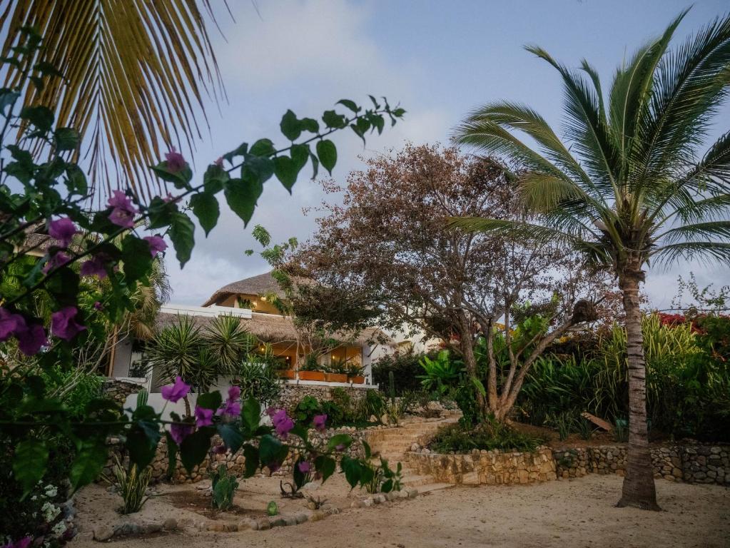 a garden with a palm tree and purple flowers at Casa La Bomba in Puerto Escondido