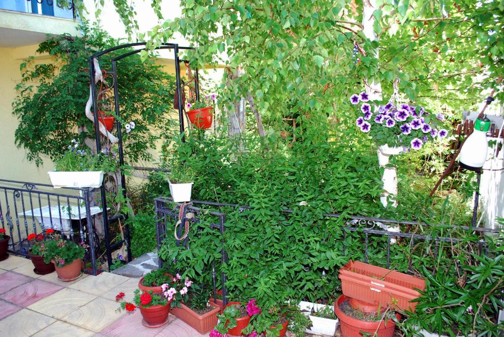 Zahrada ubytování Hotel Saint Tatyana