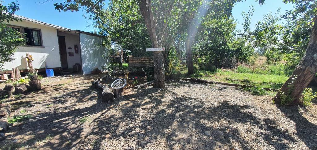 une cour avec un arbre et une maison dans l'établissement Agradable Cabaña campestre a 7 minutos de Osorno, à Osorno