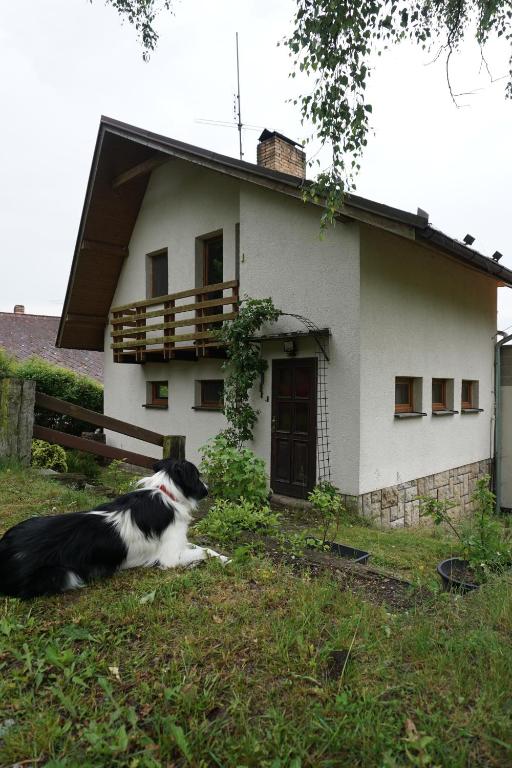 a dog laying in the grass in front of a house at Chata Žár in Žár