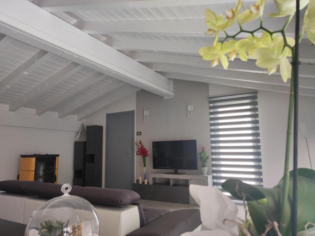 TV a/nebo společenská místnost v ubytování Luminoso appartamento vista lago