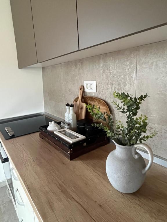 a kitchen counter with a vase with a plant on it at Divine House in Žabljak