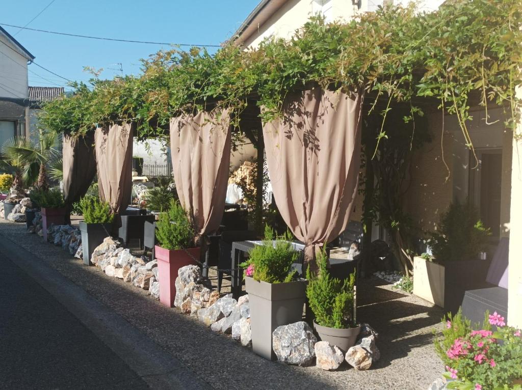L' Auberge Campagnarde, Lourdes في Poueyferré: صف من النباتات الفخارية في الأواني بجوار مبنى