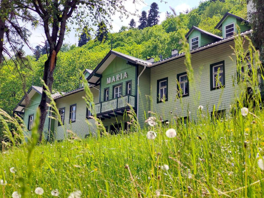 a green building in the middle of a field of grass at Maria in Rymanów-Zdrój
