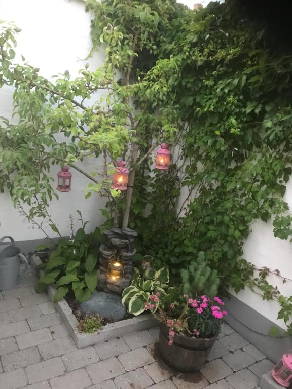 Zahrada ubytování *****elegant feriebolig i hjertet af Kerteminde