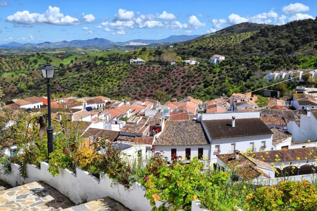 Casas Rurales Los Algarrobales - 17