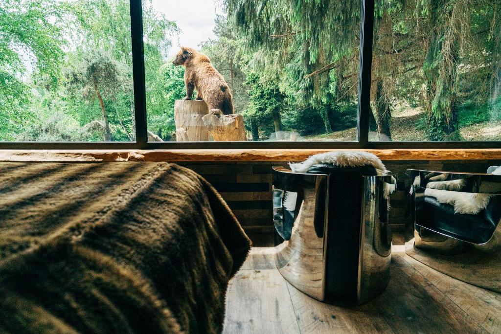 Vonkajšia záhrada v ubytovaní Pyrénées Prestige - Villas d'exceptions et hébergements insolites