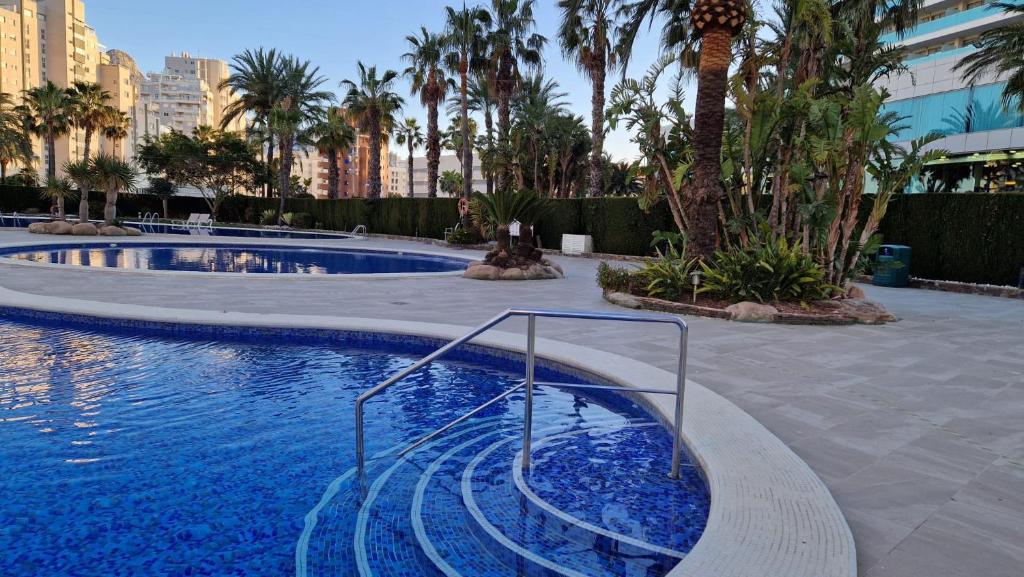 a swimming pool with blue water and palm trees at Apartamento en Calpe, edf. Coral Beach in Calpe