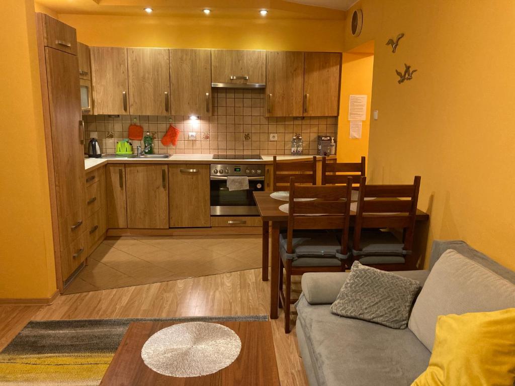 Kuchyň nebo kuchyňský kout v ubytování Apartament 2 pokoje Czarny Potok Krynica Zdrój