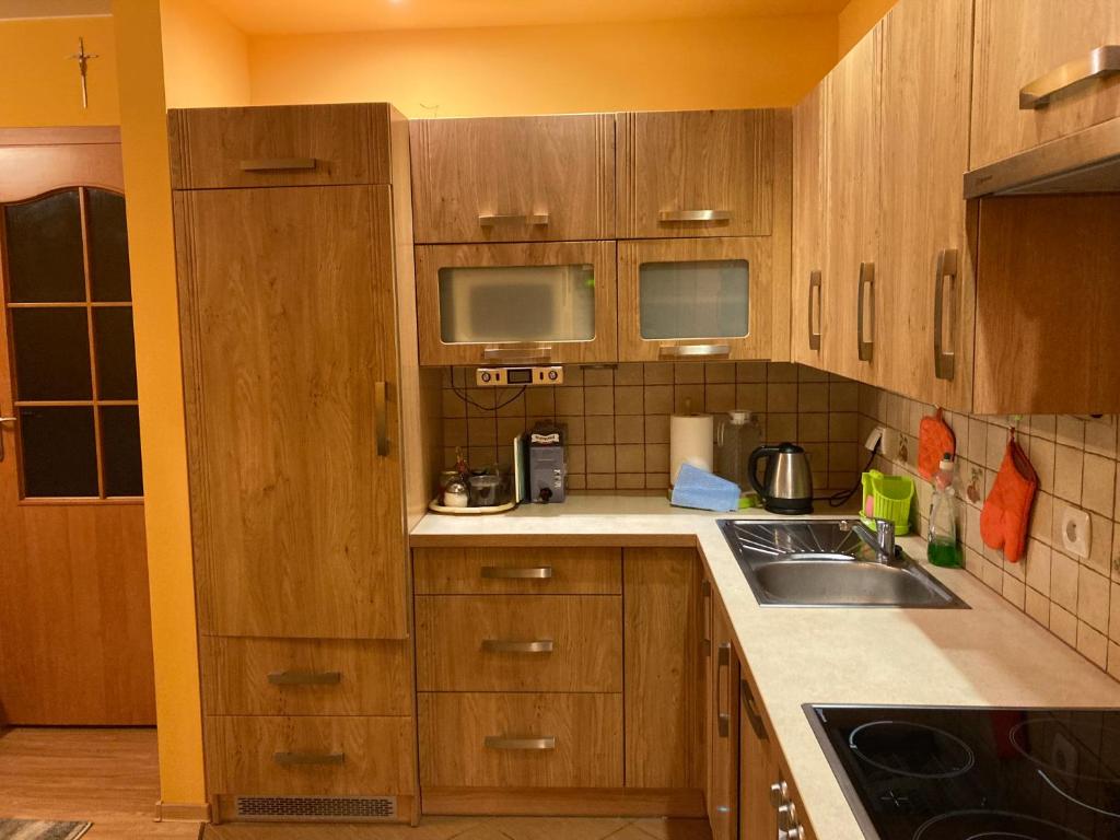 Kuchyň nebo kuchyňský kout v ubytování Apartament 2 pokoje Czarny Potok Krynica Zdrój