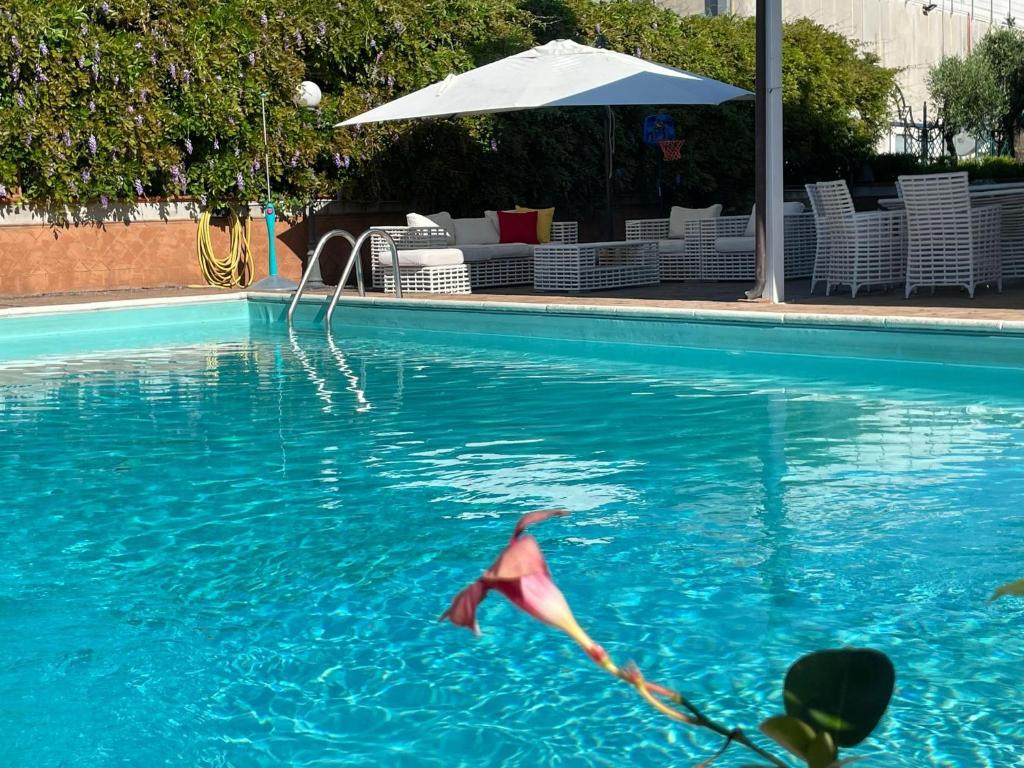 eine Person, die in einem Pool schwimmt in der Unterkunft Villa Morena in Cava deʼ Tirreni