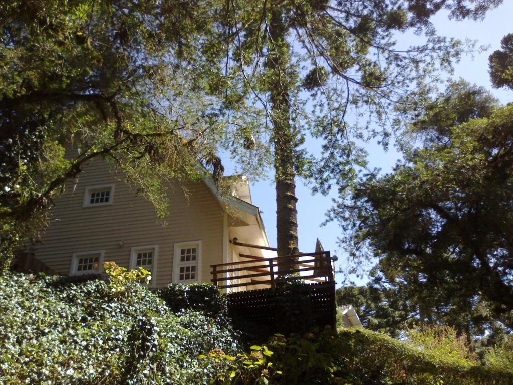 Una casa blanca con un árbol delante. en Forest Pine Inn, en Campos do Jordão