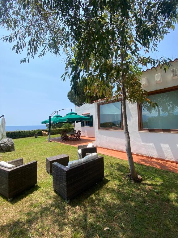 a group of couches and a tree in a yard at Cataleya Baia del Carpino Scalea in Scalea