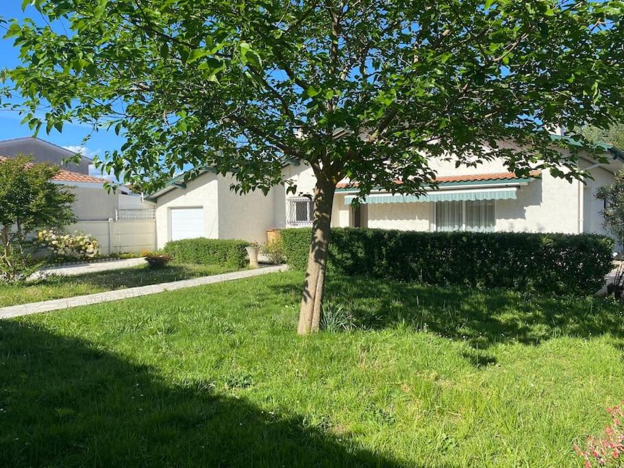 un arbre dans l'herbe devant une maison dans l'établissement La teste centre-ville mourillat, à La Teste-de-Buch