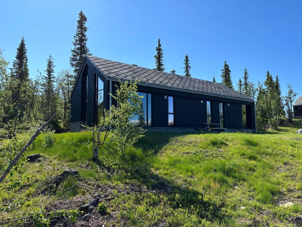 Ein schwarzes Haus auf einem Feld mit einem Baum in der Unterkunft Tiltalende hytte med fin utsikt in Beitostøl