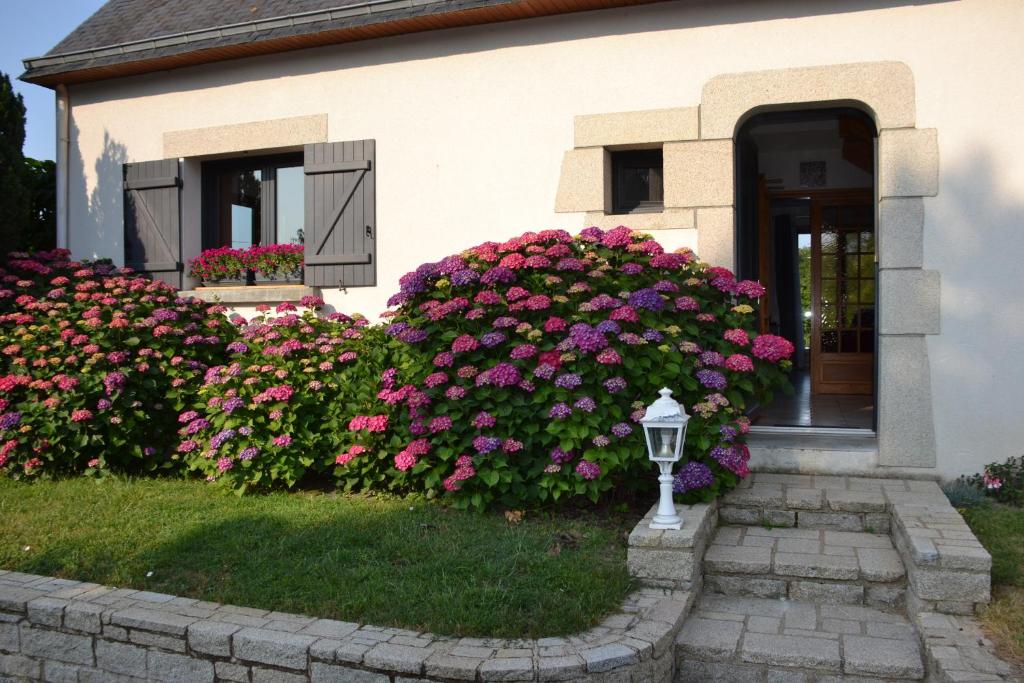 Zahrada ubytování L' ESCALE SINAGOTE Chambre d'hôtes