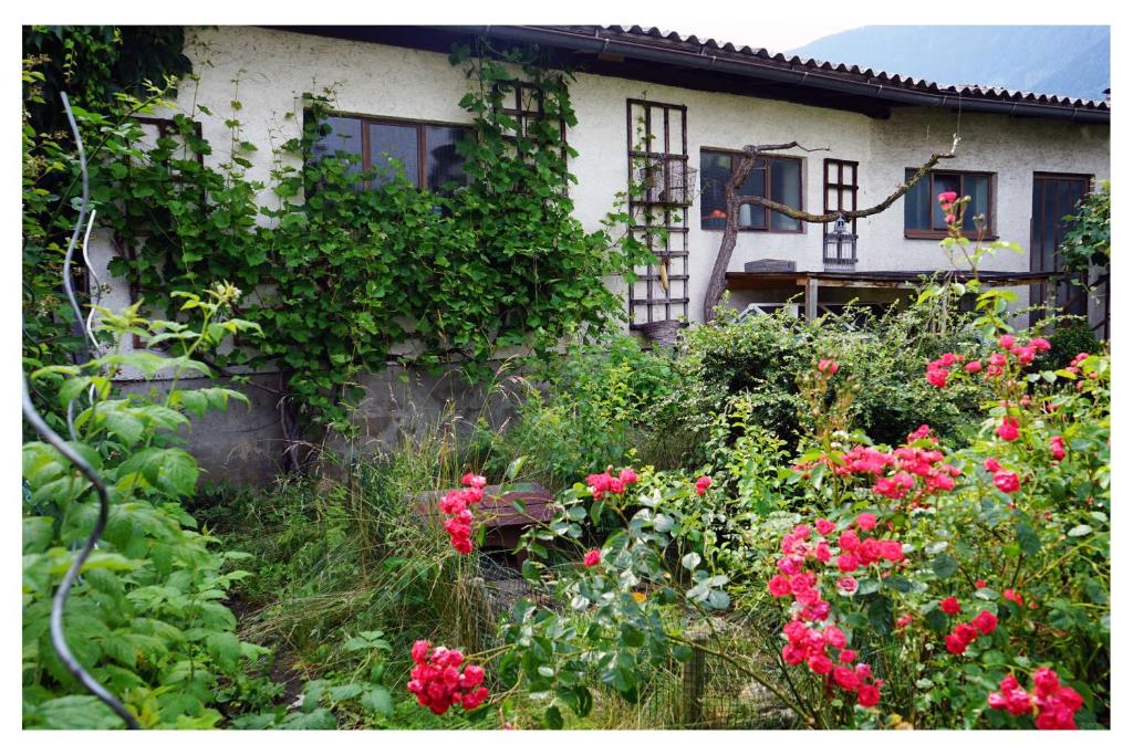 Zahrada ubytování Ingrid’s Guesthouse Spittal