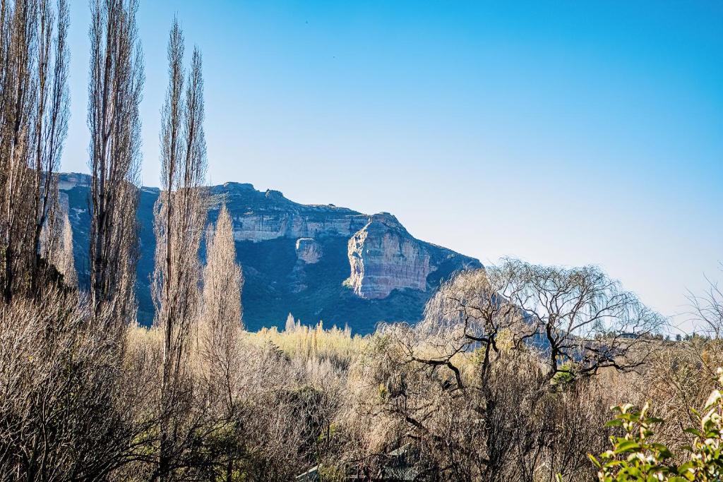 Paesaggio naturale nelle vicinanze dell'affittacamere