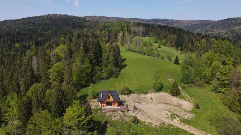 Domek w drapie في Lubomierz: اطلالة جوية على منزل في وسط غابة
