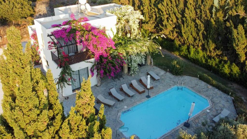 an aerial view of a house with a swimming pool at Banana Sunset Villas in Paphos