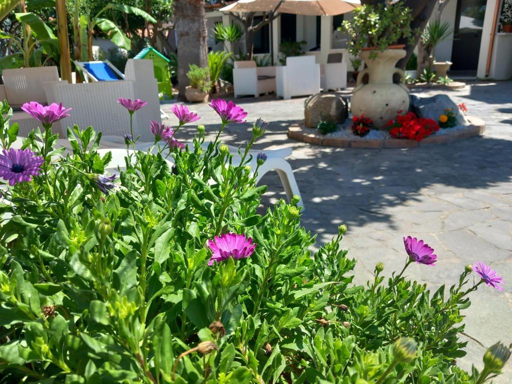 Ogród w obiekcie Appartamenti Tropea Gargano