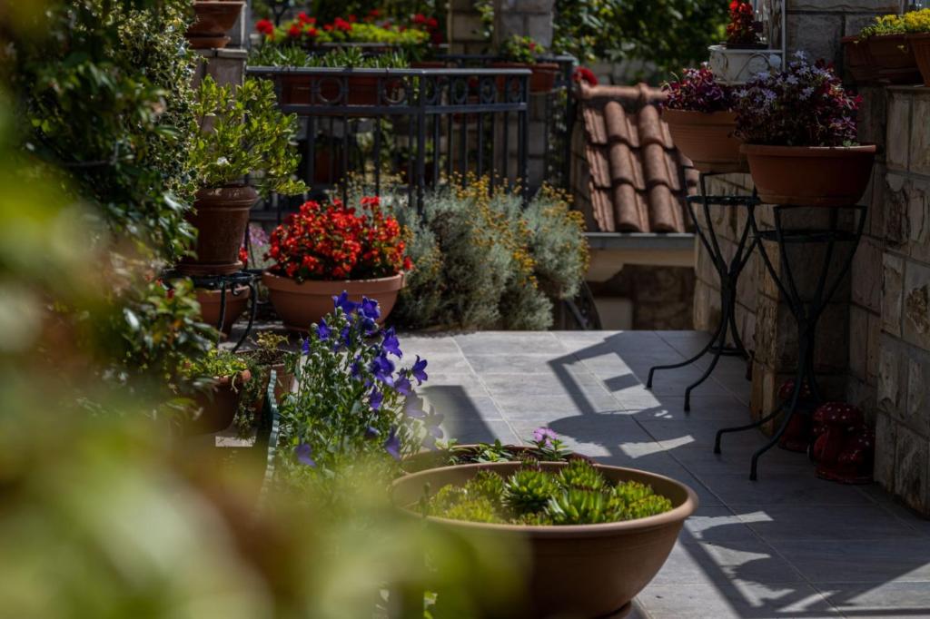 a garden with potted plants and flowers on a patio at Apartments Horizont in Budva