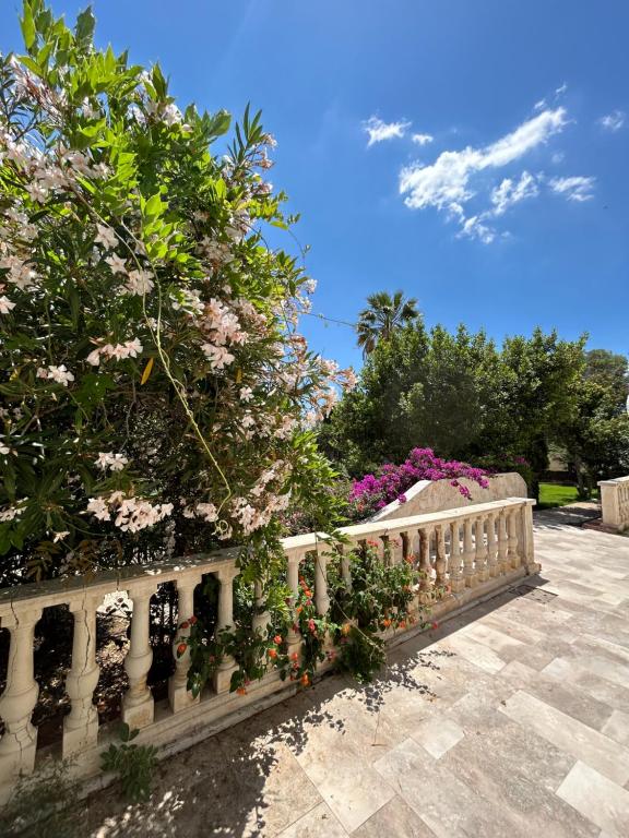 Villa Cavalieri Country Hotel - Suite Con Vistas Al Jardín