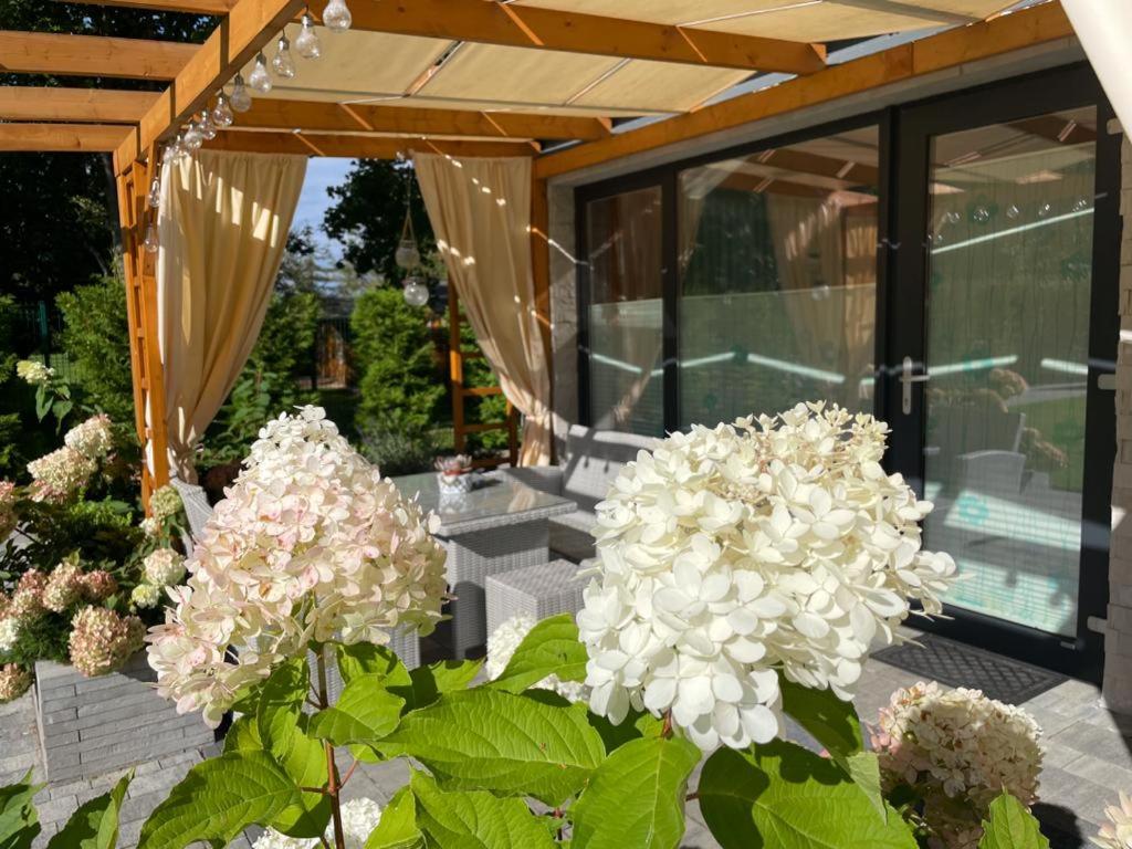 Zahrada ubytování Osada Family Park