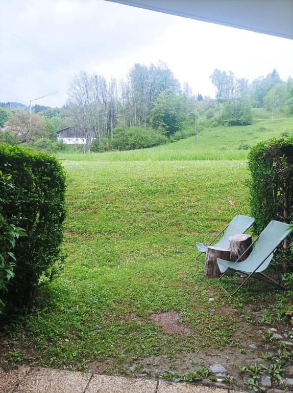 un banc et une chaise dans un champ dans l'établissement Studio Morillon Village, à Morillon
