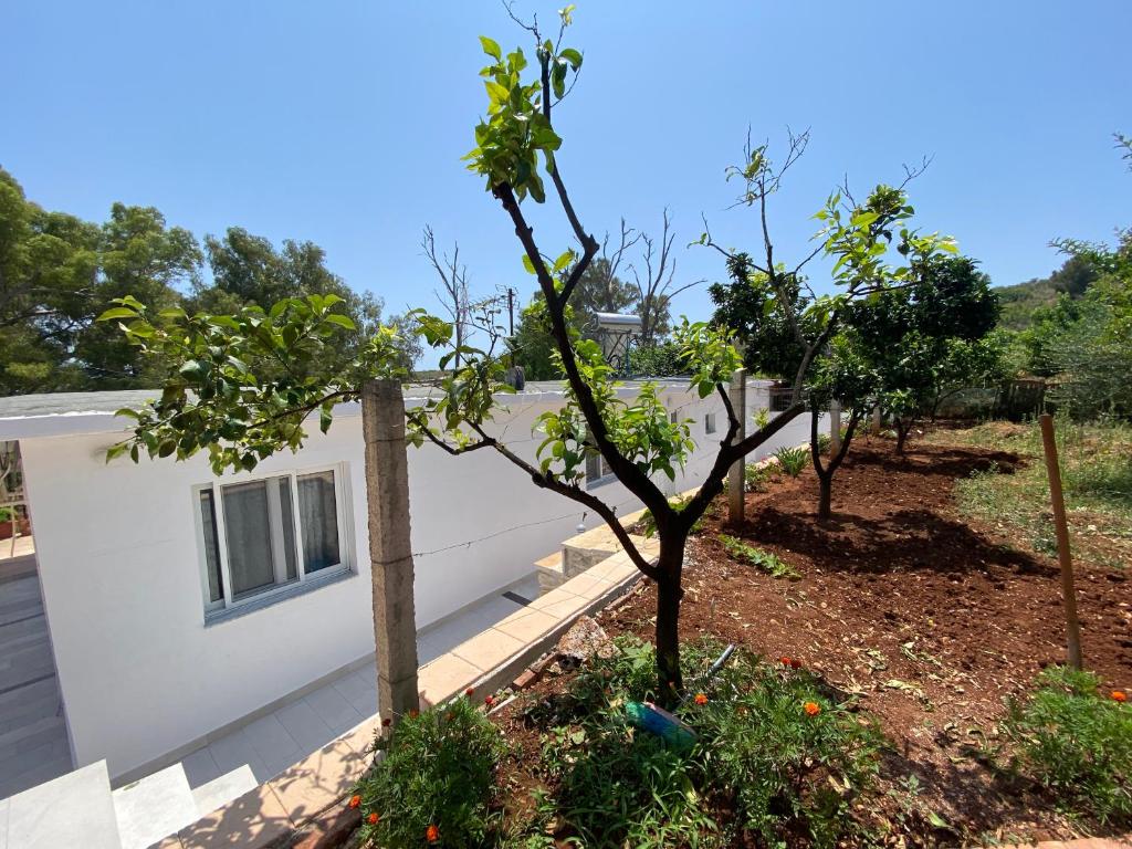Loft Apartments - Imazhi 6
