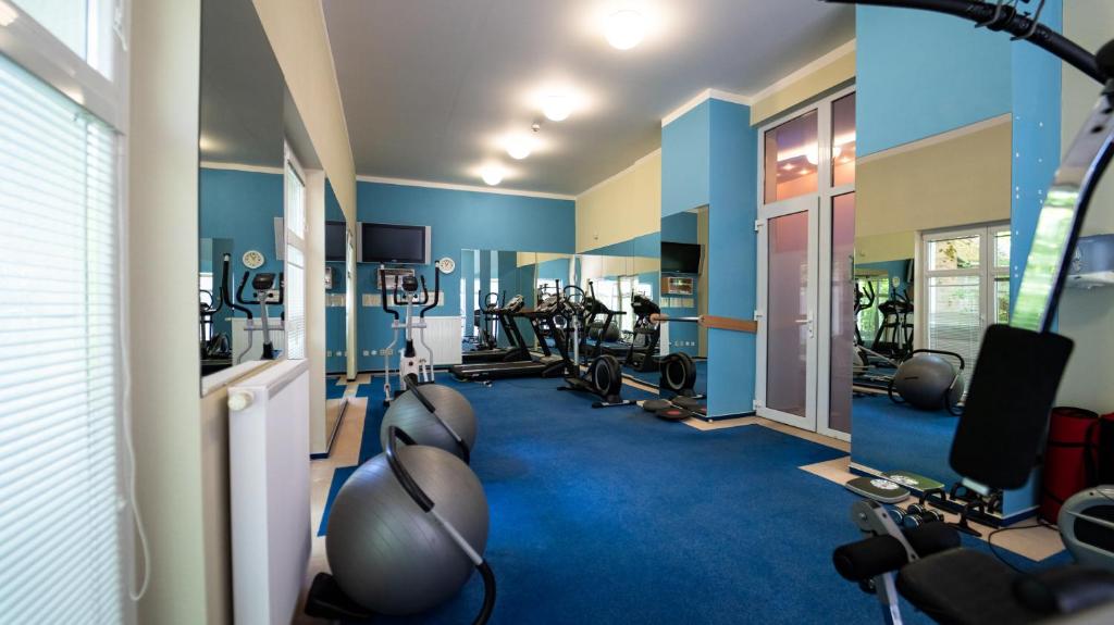 Fitness centrum a/nebo fitness zařízení v ubytování Hotel Richard Spa & Wellness