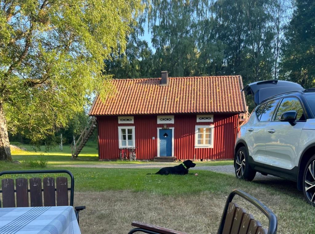 um gato preto sentado em frente a uma casa vermelha em Skagagården, Sjömarken em Undenäs