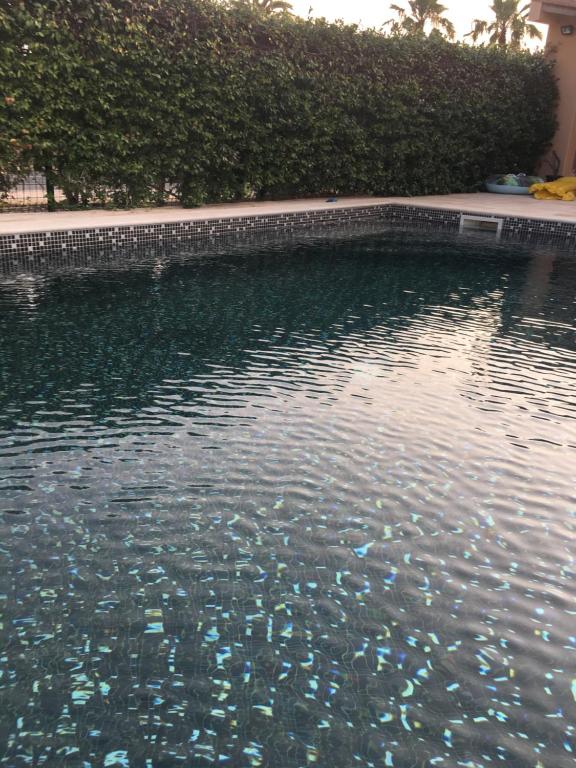 un grand bassin d'eau à côté d'une haie dans l'établissement Chez Delphine, à Théza