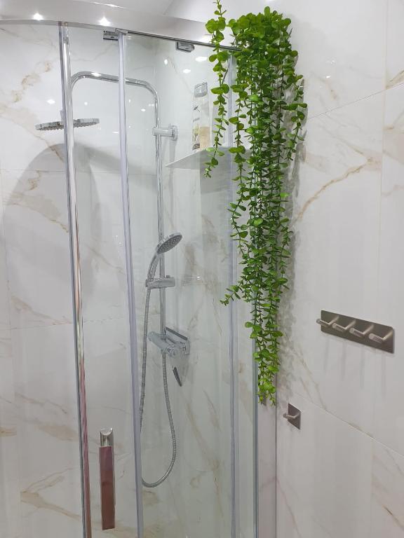 Kúpeľňa v ubytovaní Apartament Comfort Del Mar V