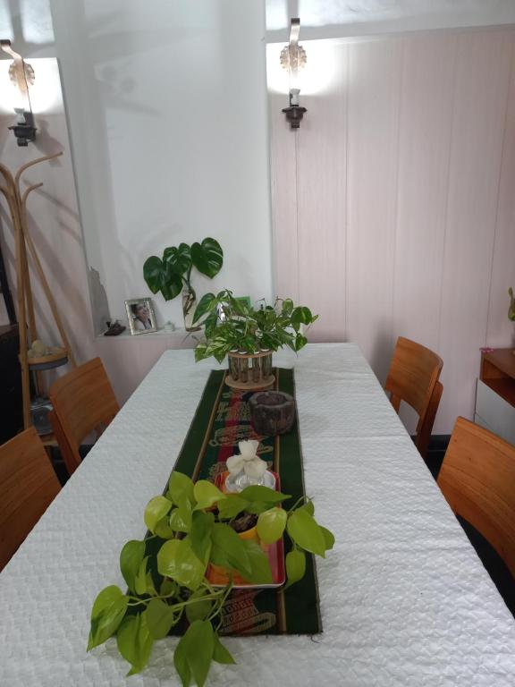 een eettafel met planten erop bij Casa Centrica con garage in Mercedes