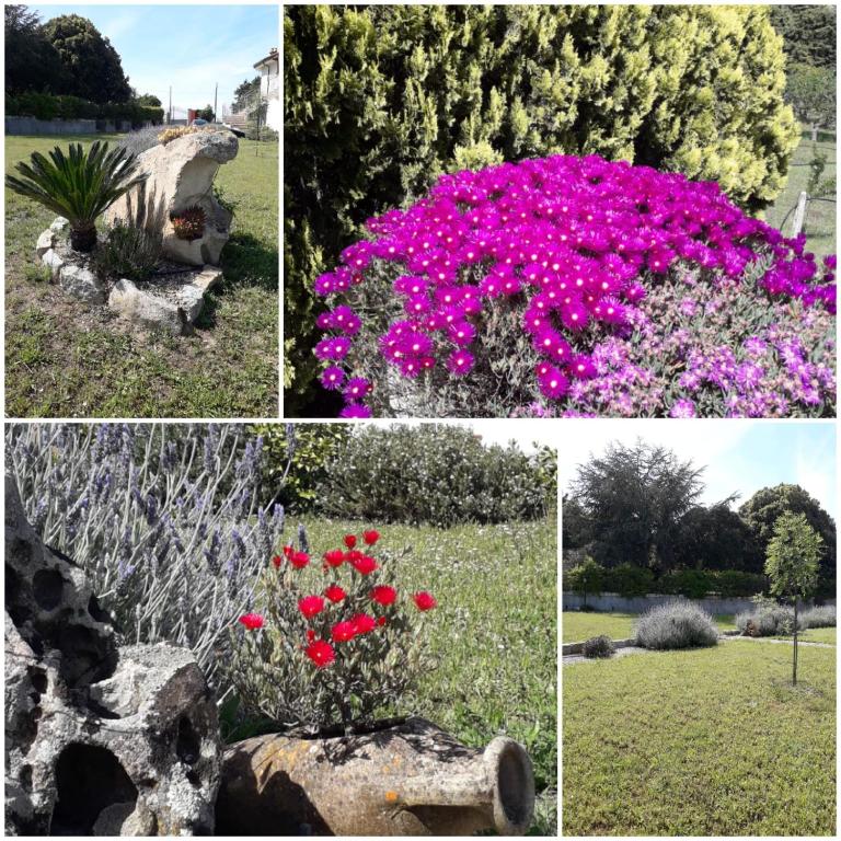 Zahrada ubytování B&B Bene Bennios IUN F1441