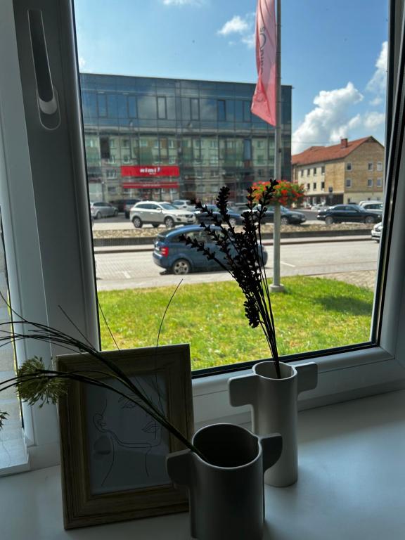 a window with a vase with flowers on a window sill at Skandi Appartments in Saldus city center in Saldus