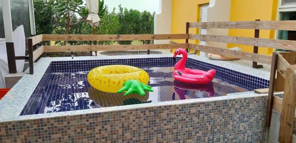 a swimming pool with two toy ducks in it at Hai Po Homestay in Checheng