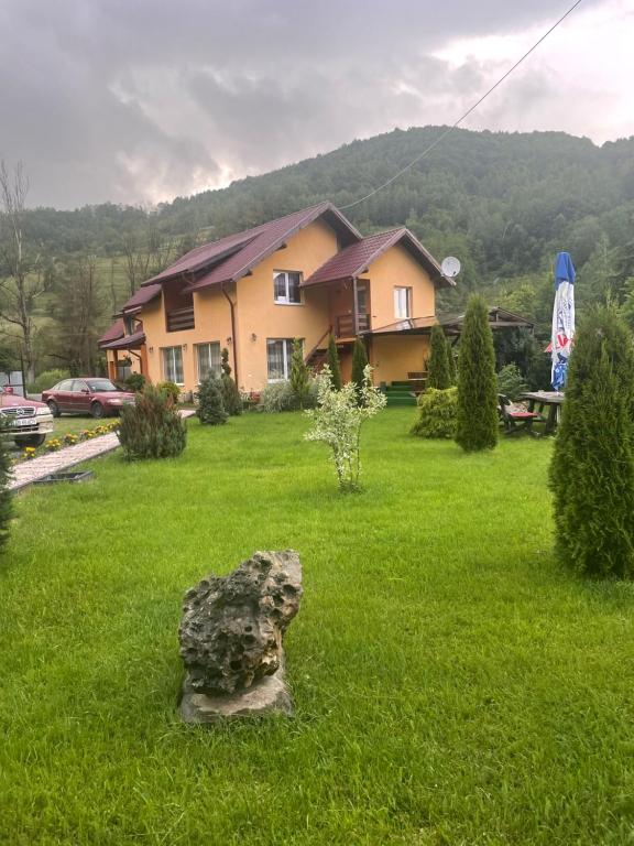 a house in a yard with a rock in the grass at Ge-Lux in Inceşti