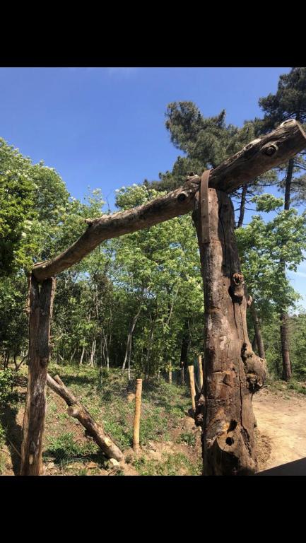 Paesaggio naturale nelle vicinanze di questo campeggio di lusso