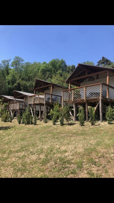 un edificio con alberi di fronte a un campo di AgriGlamping La Diaccia a Serravalle Pistoiese