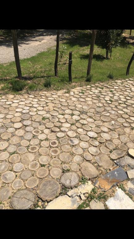 Foto dalla galleria di AgriGlamping La Diaccia a Serravalle Pistoiese