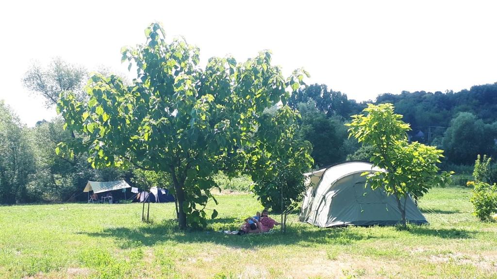 Booking.com: Szellős Rét Camping , Bálványos, Magyarország - 109  Vendégértékelések . Foglaljon szállodában!