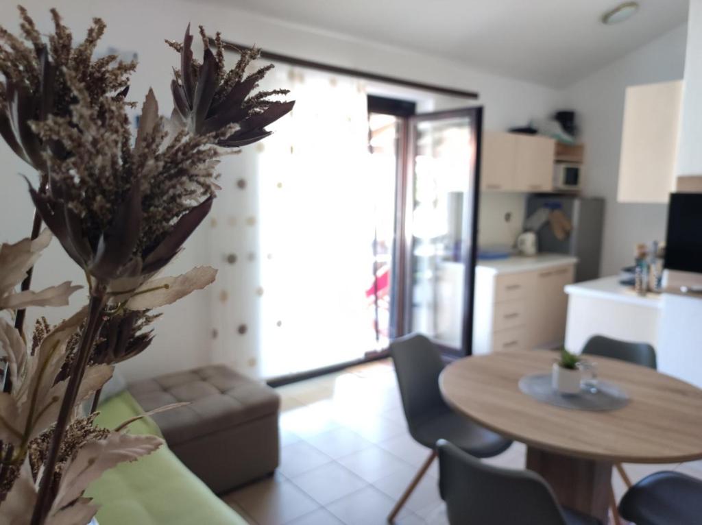 Kuchyň nebo kuchyňský kout v ubytování Apartmani Matjačić - Ugljan