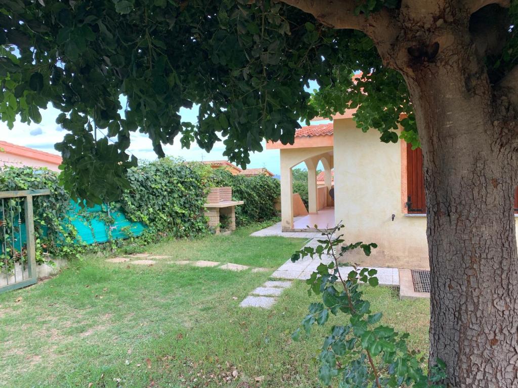 einen Hof mit einem Baum und einem Haus in der Unterkunft Casa Vacanze Stella Marina in Monte Nai